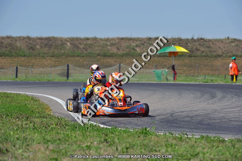 DSC_ (1551).jpg